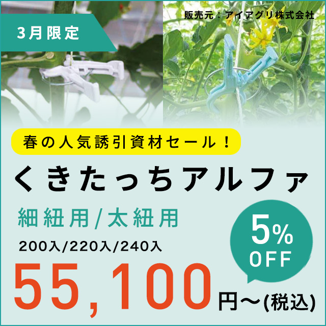 くきたっち アルファ